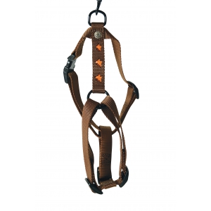 Dog harness - orange butterflies
