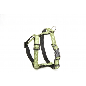 Dog harness - Salamander vert