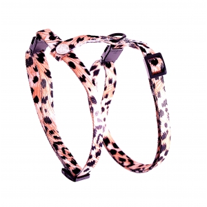 Adjustable harnais for cat - Orange Puma