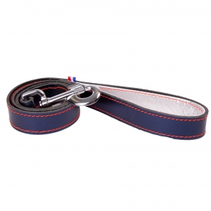 Dakota leather leash copper color metallic lined and stitched with black