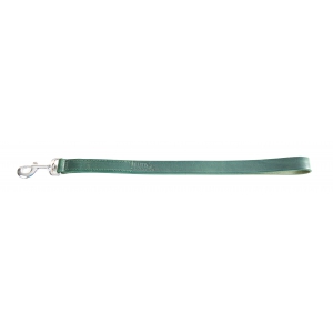 Short lead Green leather dog - cut stung franc