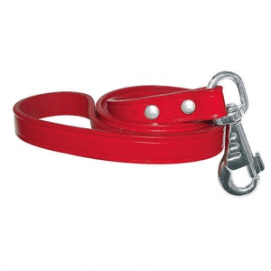 Laisse cuir pour chien - rubis