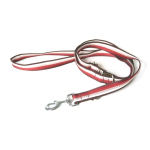 Laisse de dressage 3 positions - Baya