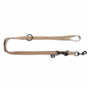 Training lead dog 3 positions - Beige
