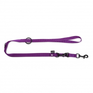 Training lead dog 3 positions - Purple