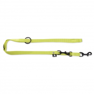 Training lead dog 3 positions - Green