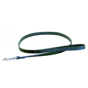 Green leather lead for dog - cut stung franc