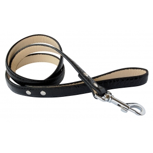 Laisse noire "Dundy"