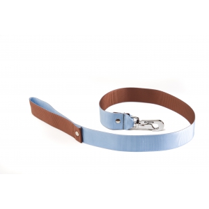 Dog nylon lead bicolor - blue & brown