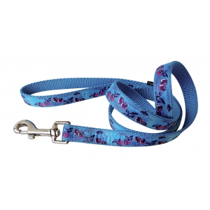 Laisse nylon cerises bleu