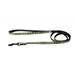 Lead cat - Bubbles - Green