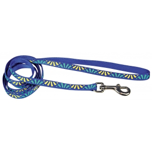 Laisse pour chat - Nylon bleu Delight