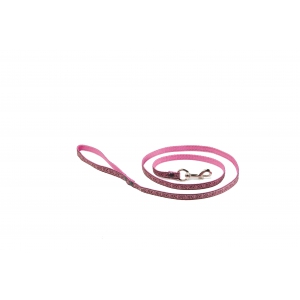 Laisse pour chat - Romanesque