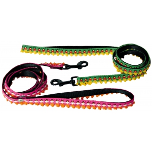 Dog lead - Dancing Queen green