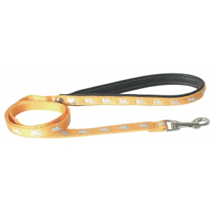 Dog lead - Happy