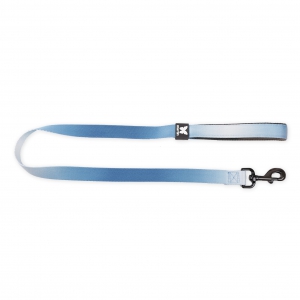 Nylon dog leash - Color Vibe