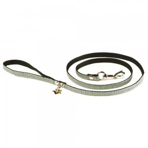 Nylon dog lead - So chic green