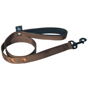 Dog lead - orange butterflies