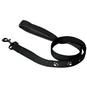 Dog lead - silver paw