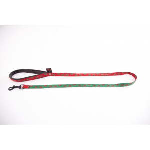 Red green dog lead - original paw