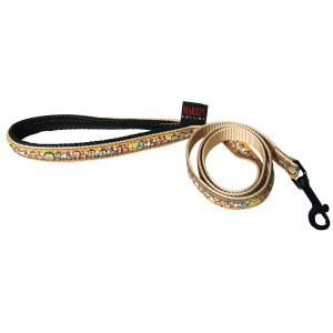 Dog lead - Smiles