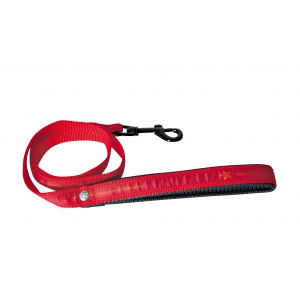 Red lead for dog - Pets connection