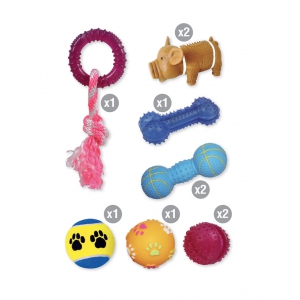 Lot 10 jouets variés pour chien