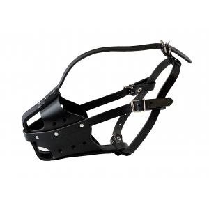 Muselière rottweiler femelle