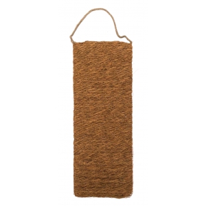 Sensation Vietnam - Recharge Up and Down Coco X1