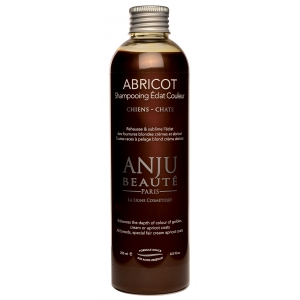 Shampooing pour chien et chat - pelage abricot - Anju Beauté
