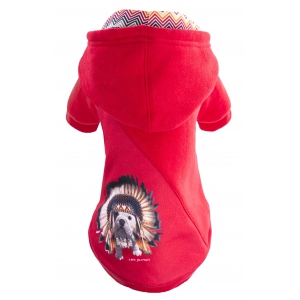 Sweet pour chien - Téo Jasmin Apache