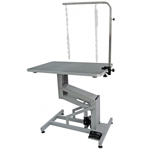 Table de toilettage électrique TE900 pour chiens petits & moyens