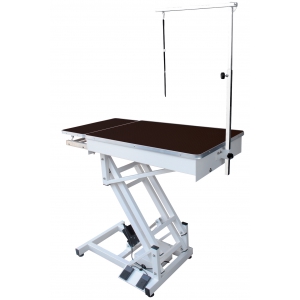 Table de toilettage pour chat, petit, moyen et gros chien - plateau extensible