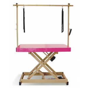 Table de toilettage Vivog I-design Châssis Or mat - Azalée