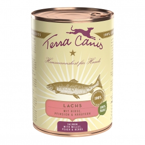 Terra Canis Classic 400g (x6) - Salmon