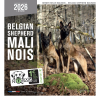 Calendrier chien 2026 - Berger Belge Malinois - Martin