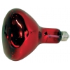 Ampoule Infrarouge pour lampe d'élevage chien