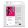 Après-shampooing pour Chien - Poils Longs - Héry - 5L