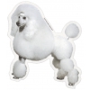 Autocollant Caniche blanc Lion - 15cm