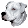 Autocollant Dogue Argentin - 15cm