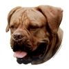 Dogue de Bordeaux Sticker - 15cm
