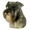 Schnauzer Sticker - 15cm