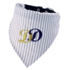Bandana DD beige pour chien - Taille M : Collier = largeur 12mm - Longueur 30 à 35cm