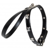 Strass black collerette for dog - Black - Lenght 35 to 41cm - width 12mm