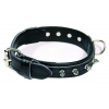 Collier clouté en cuir noir pour chien - Super confort - larg 30mm Long 50cm