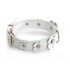 White leather collar for dog - Clover leather right - W 14mm L 31cm
