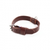 Collier cuir pleine fleur marron pour chien - 41 à 49 cm