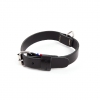Collier cuir pleine fleur noir pour chien - 41 à 49 cm