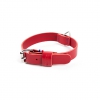 Collier cuir pleine fleur rouge pour chien - 37 à 45 cm