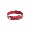 Collier droit en cuir rouge pour chien - coupé franc piqué